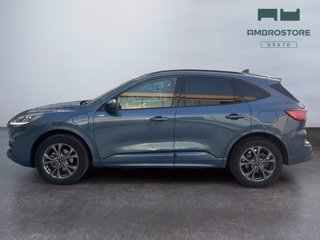 FORD Kuga 2.5 phev st-line 2wd 225cv cvt
