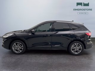 FORD Kuga 2.5 full hybrid st-line 2wd 190cv cvt