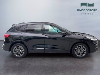 FORD Kuga 2.5 full hybrid st-line 2wd 190cv cvt