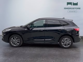 FORD Kuga 2.5 phev st-line 2wd 225cv cvt