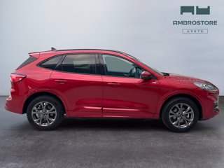 FORD Kuga 2.5 phev st-line x 2wd 225cv cvt