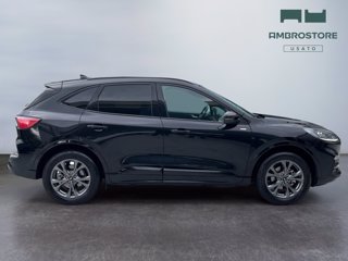 FORD Kuga 2.5 phev st-line 2wd 225cv cvt