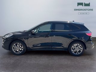 FORD Kuga 2.5 full hybrid st-line x 2wd 190cv cvt