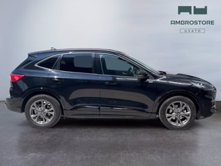 FORD Kuga 2.5 full hybrid st-line x 2wd 190cv cvt