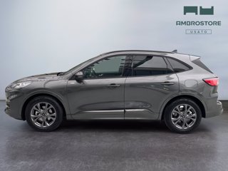 FORD Kuga 2.5 full hybrid st-line x design 2wd 190cv cvt